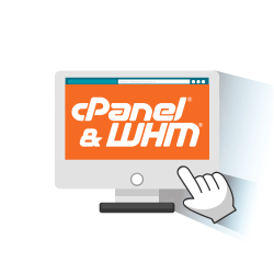 cPanel Solo 1 Hesap